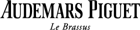 Organisation banner logo
